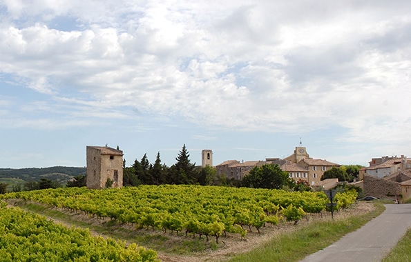 Buisson en vaucluse